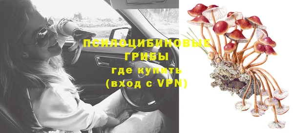 тгк Алзамай