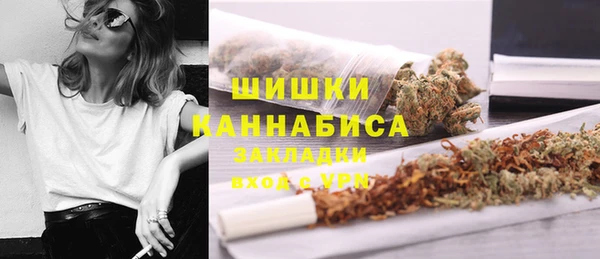 PSILOCYBIN Алексин