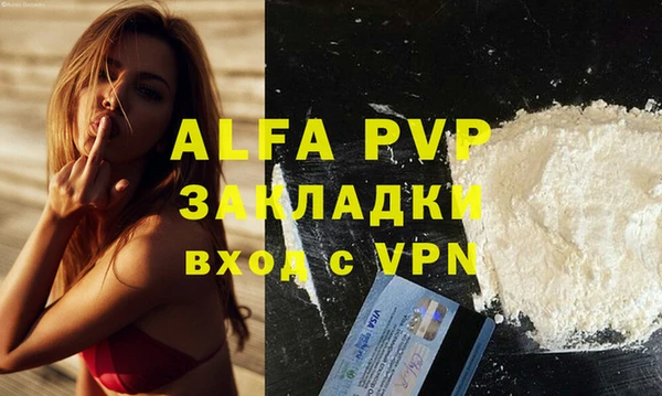 крисы Сатка