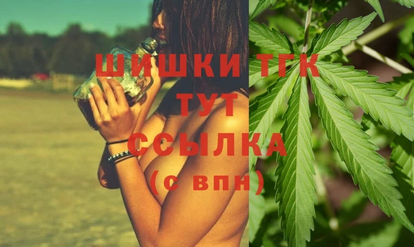 тгк Алзамай