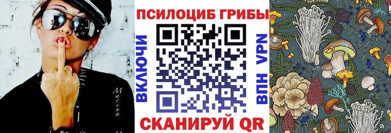 Псилоцибиновые грибы Psilocybine cubensis купить наркоту omg tor Апшеронск
