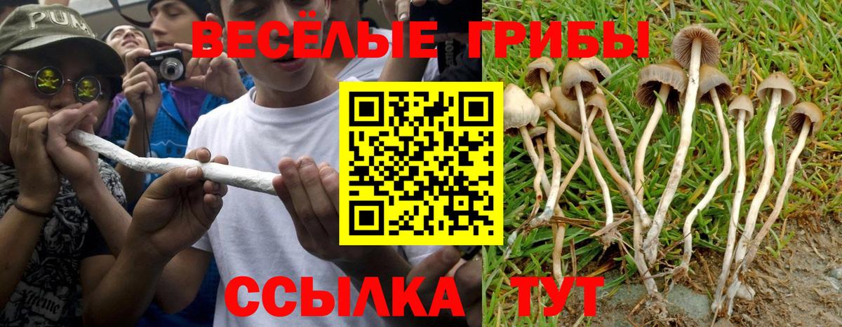 Псилоцибиновые грибы мухоморы  Галлюциногенные грибы прущие грибы  Вход с VPN  Апшеронск 